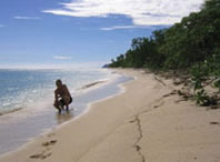 Fiji Mana Island